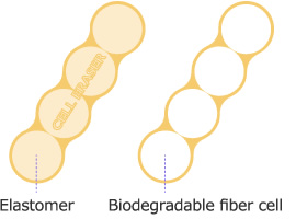 Elastomer　biodegradability fiber cell