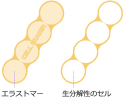 エストラマー　生分解性のセル